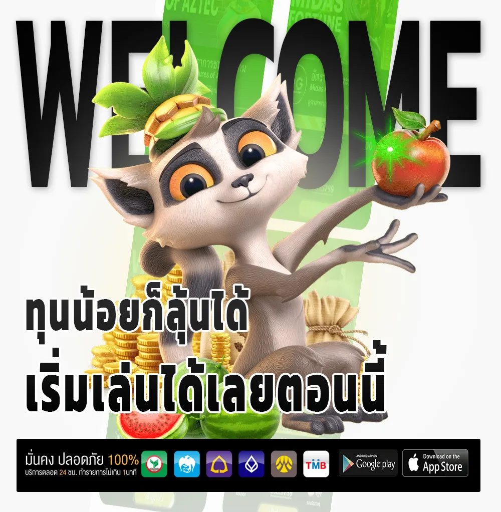 hua yok ครบวงจร